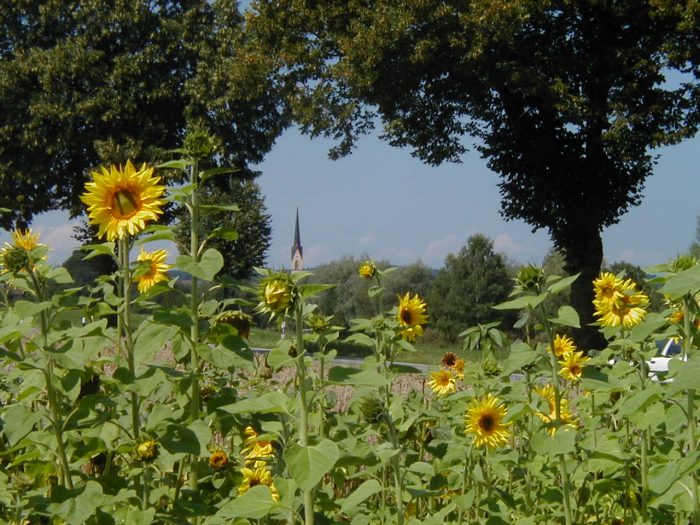 Familienurlaub Obing am See Seeblick